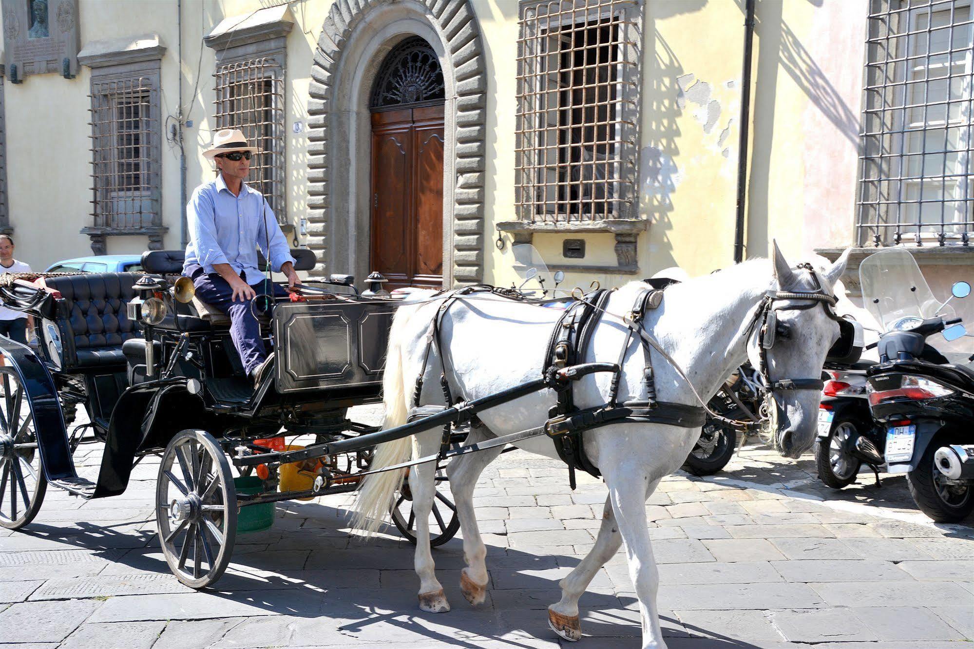 Dimora Dei Guelfi Luxury Rooms Lucca Bagian luar foto
